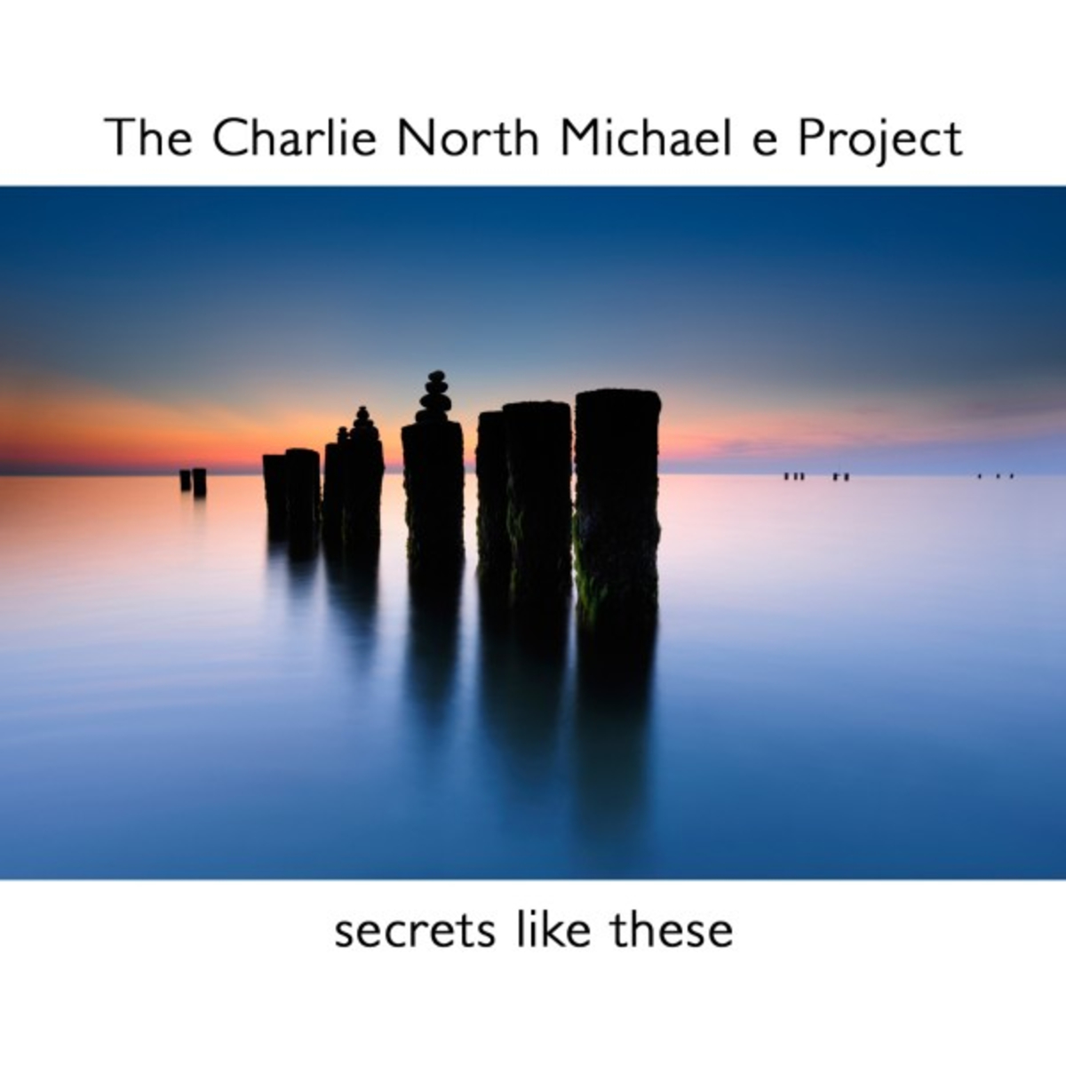 The Charlie North Michael E Project - Driftwood